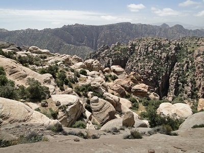 Dana Biosphere Reserve